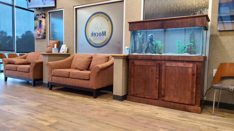 Aquarium Maintenance Business: How to know if it will work in your town